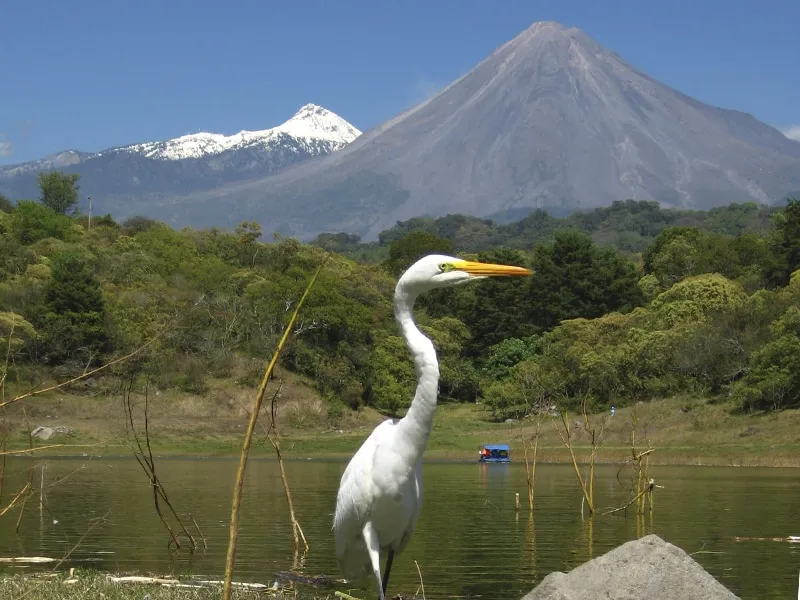 Laguna de Carrizalillo