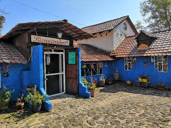 Casa Colibrí te ofrece la mejor cochinita pibil de  todo Huasca de Ocampo