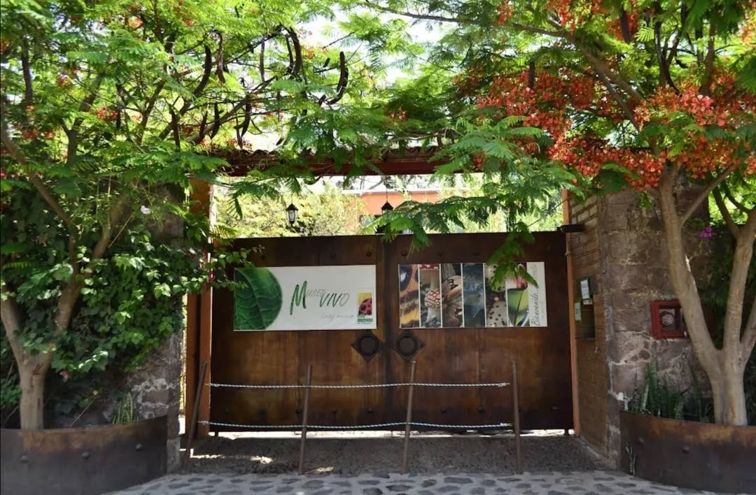 Te gustan los bichos, visita el Museo Vivo en Malinalco, Estado de México