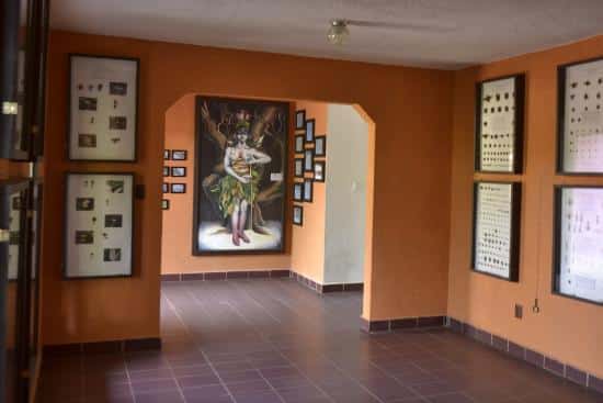 Galería Museo Vivo, Malinalco.