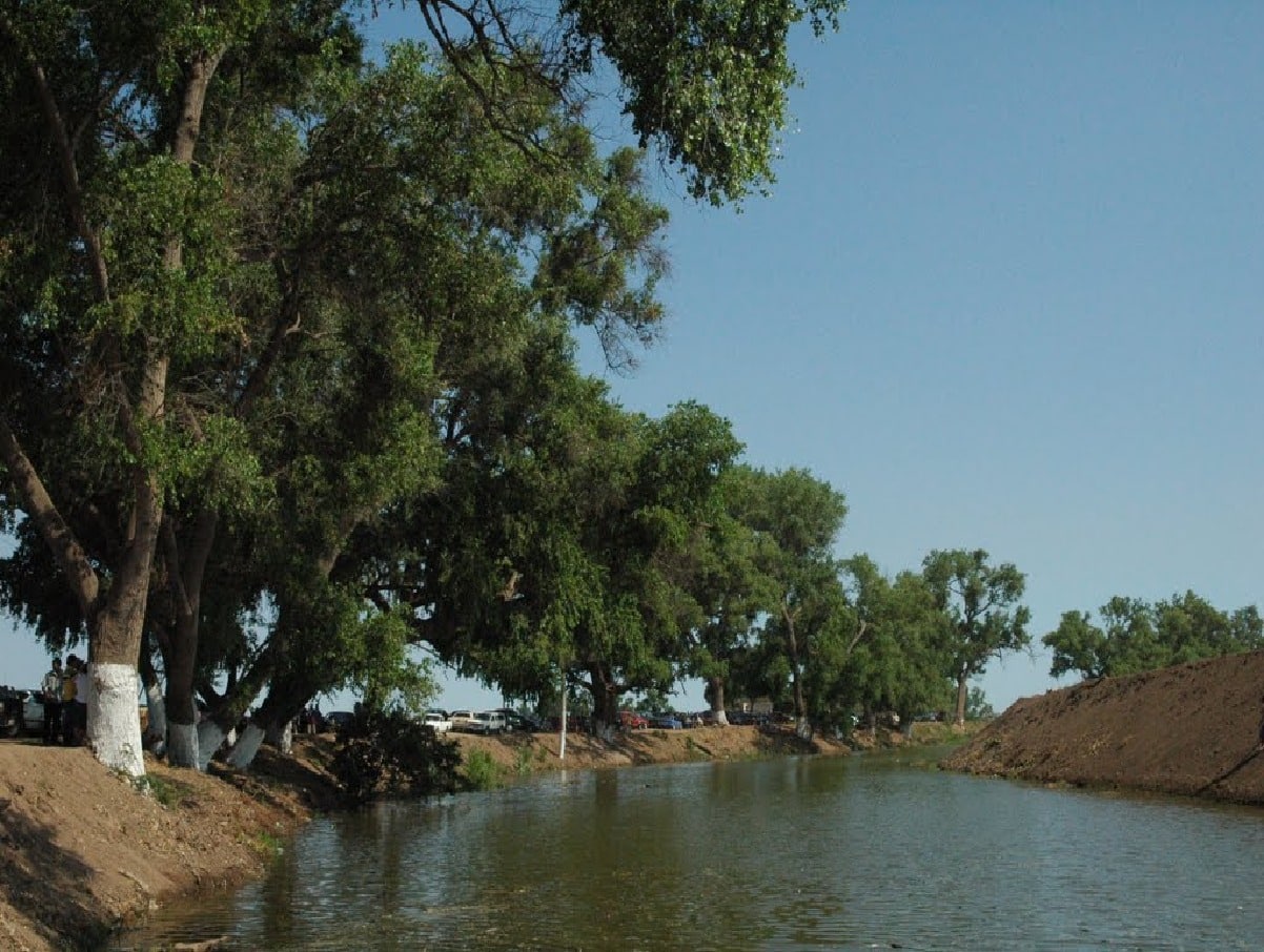 Río Mocorito.