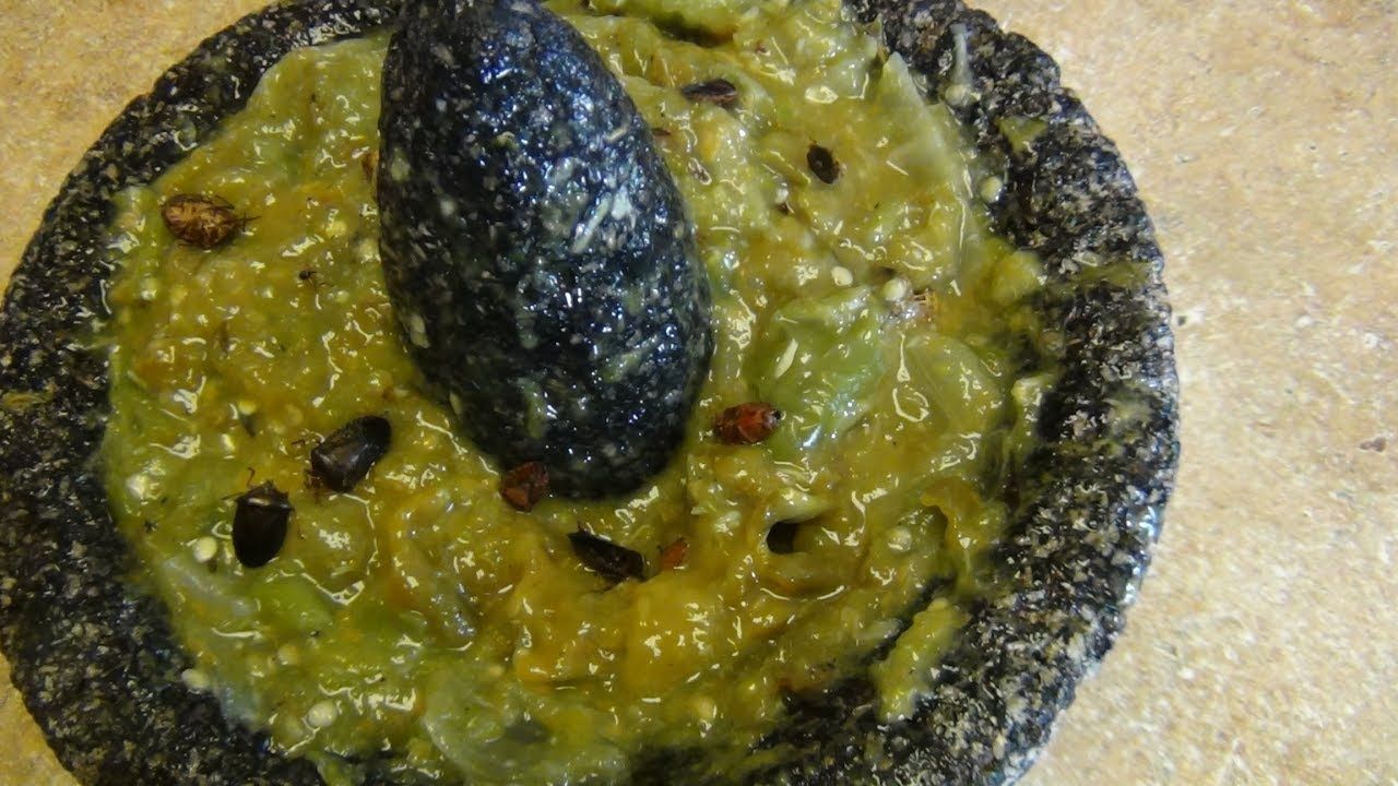 Mole con jumiles, gastronomía del pueblo de Taxco.