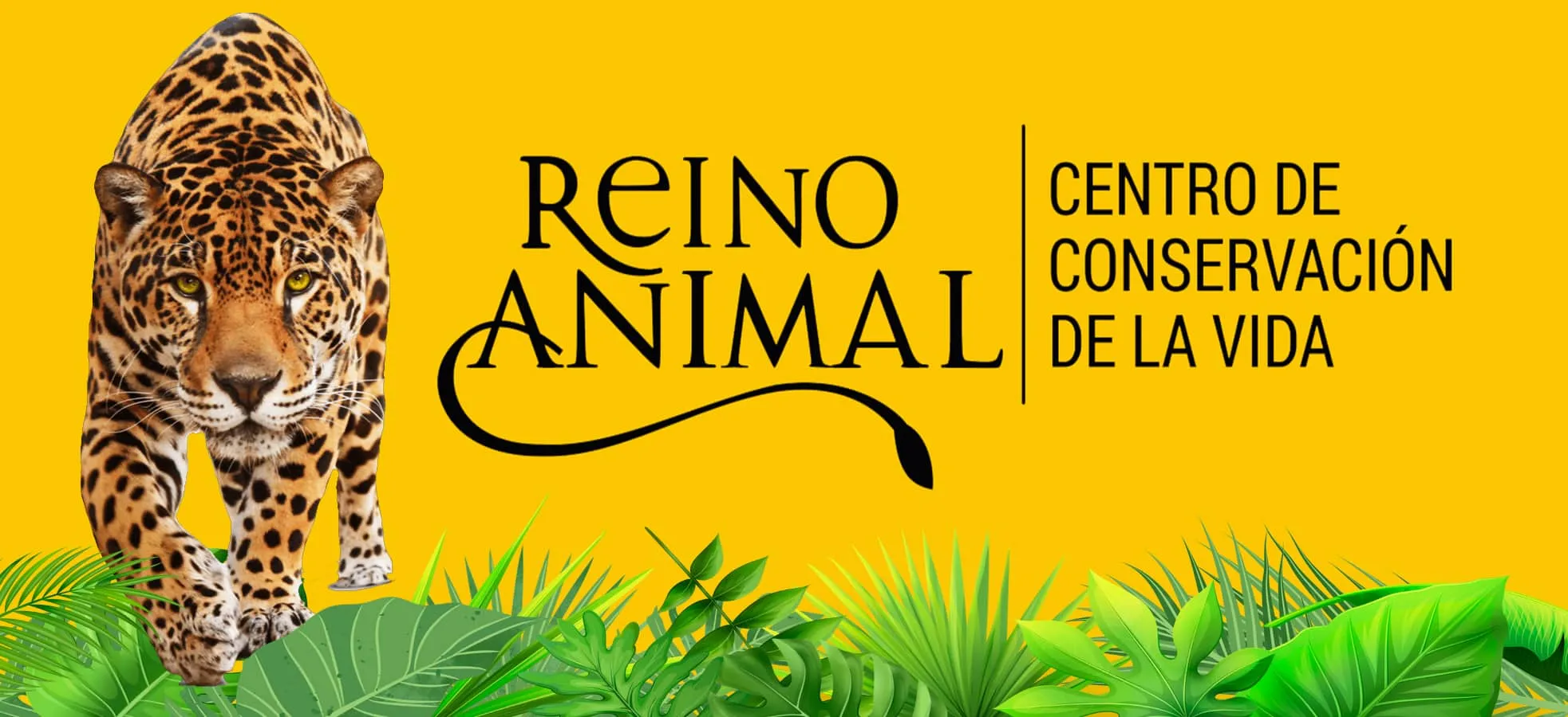 parque reino animal