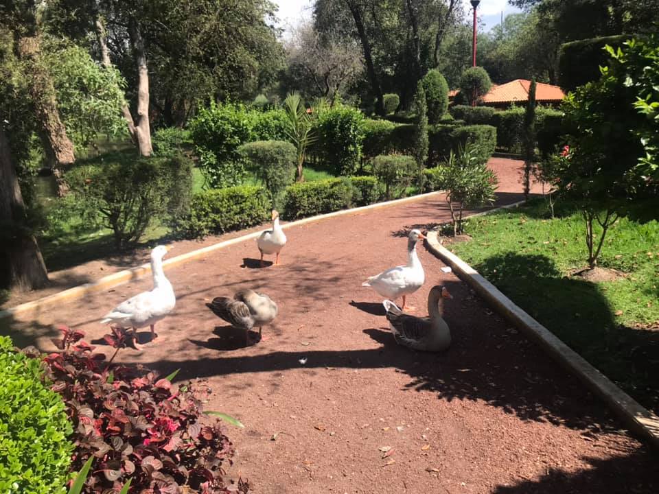 Jardín Botánico Tizatlán