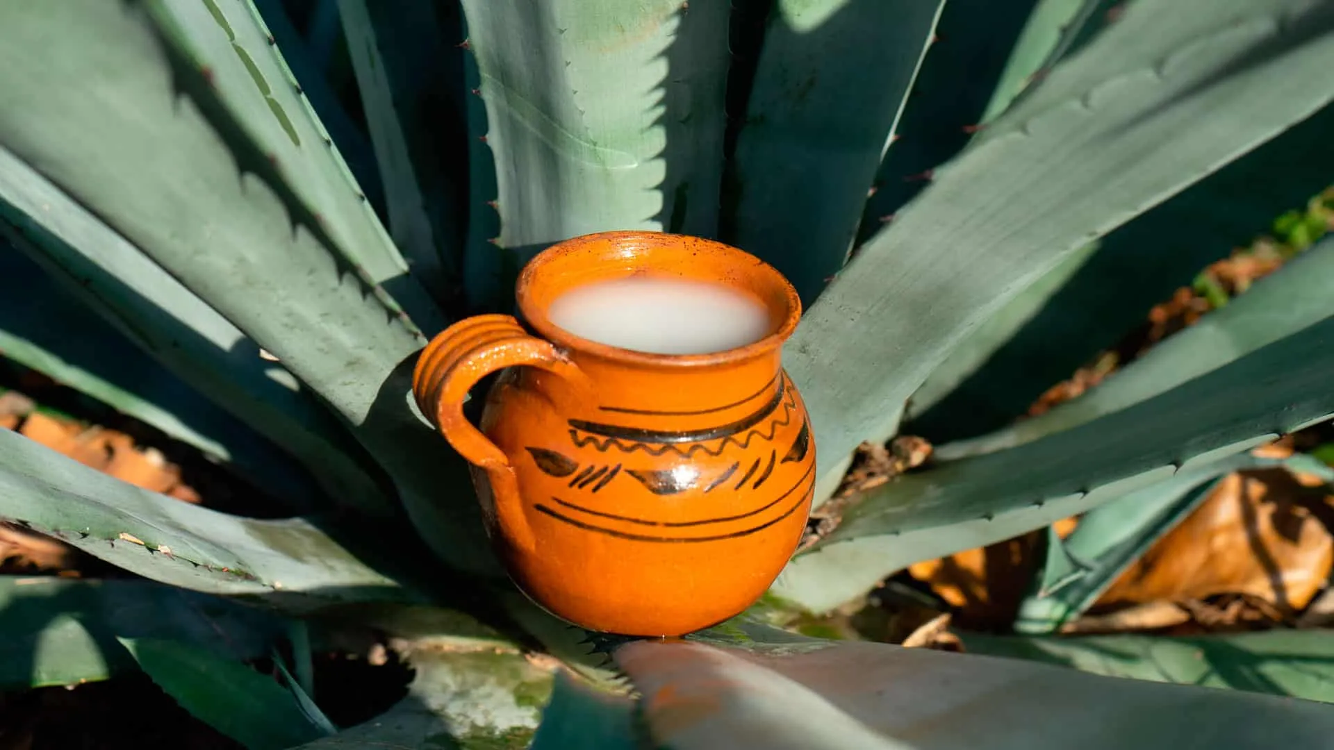 pulque blanco