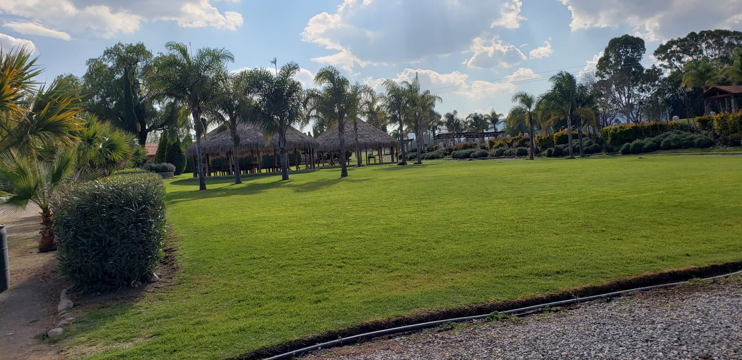 Palapas y zona de picnic en Flor de Alfalfa. Foto: Descubremexico