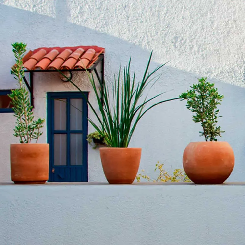 casa arrayan