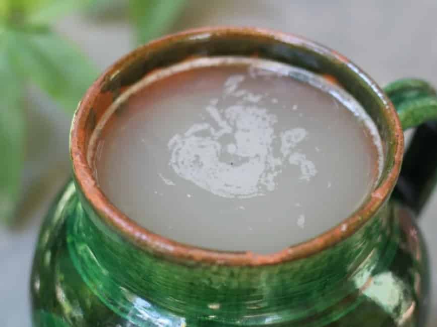 Aguamile para la elaboracion del pulque.