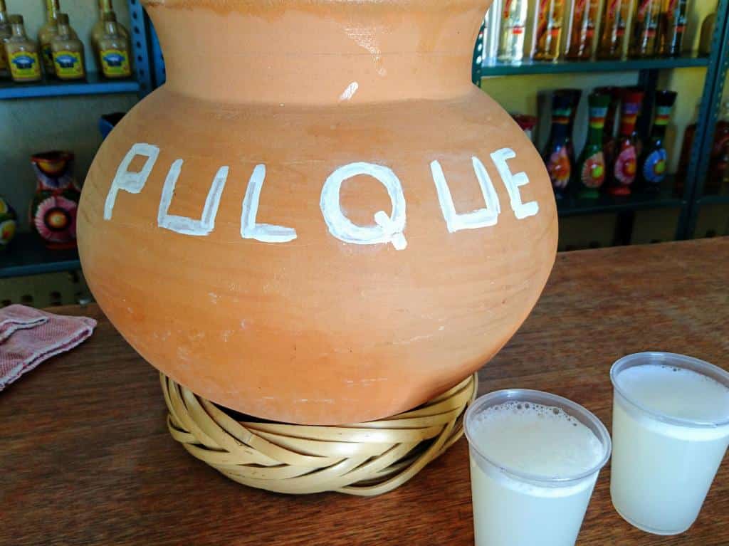 El pulque, mejor conocida como la bebida de los dioses. Foto: Donde Ir