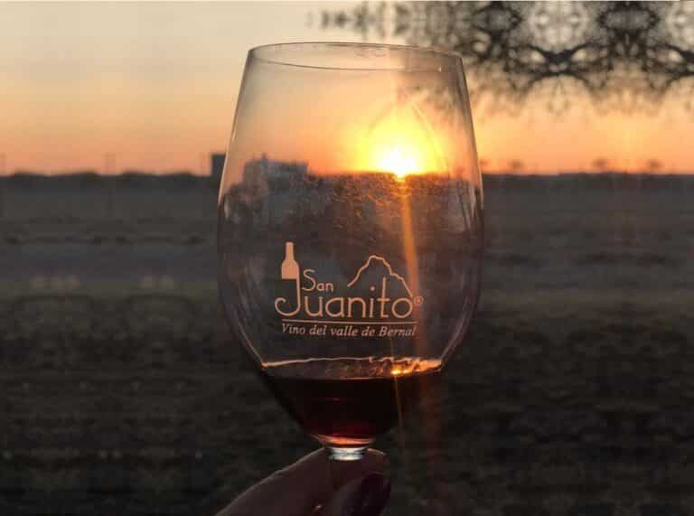 San Juanito, un viñedo que se a hecho de renombre en todo Peña de Bernal