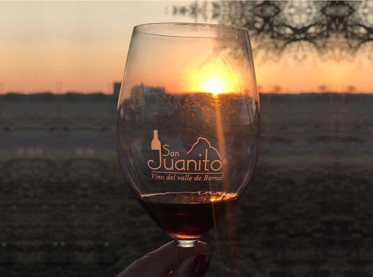 San Juanito, un viñedo que se ha hecho de renombre en todo Querétaro