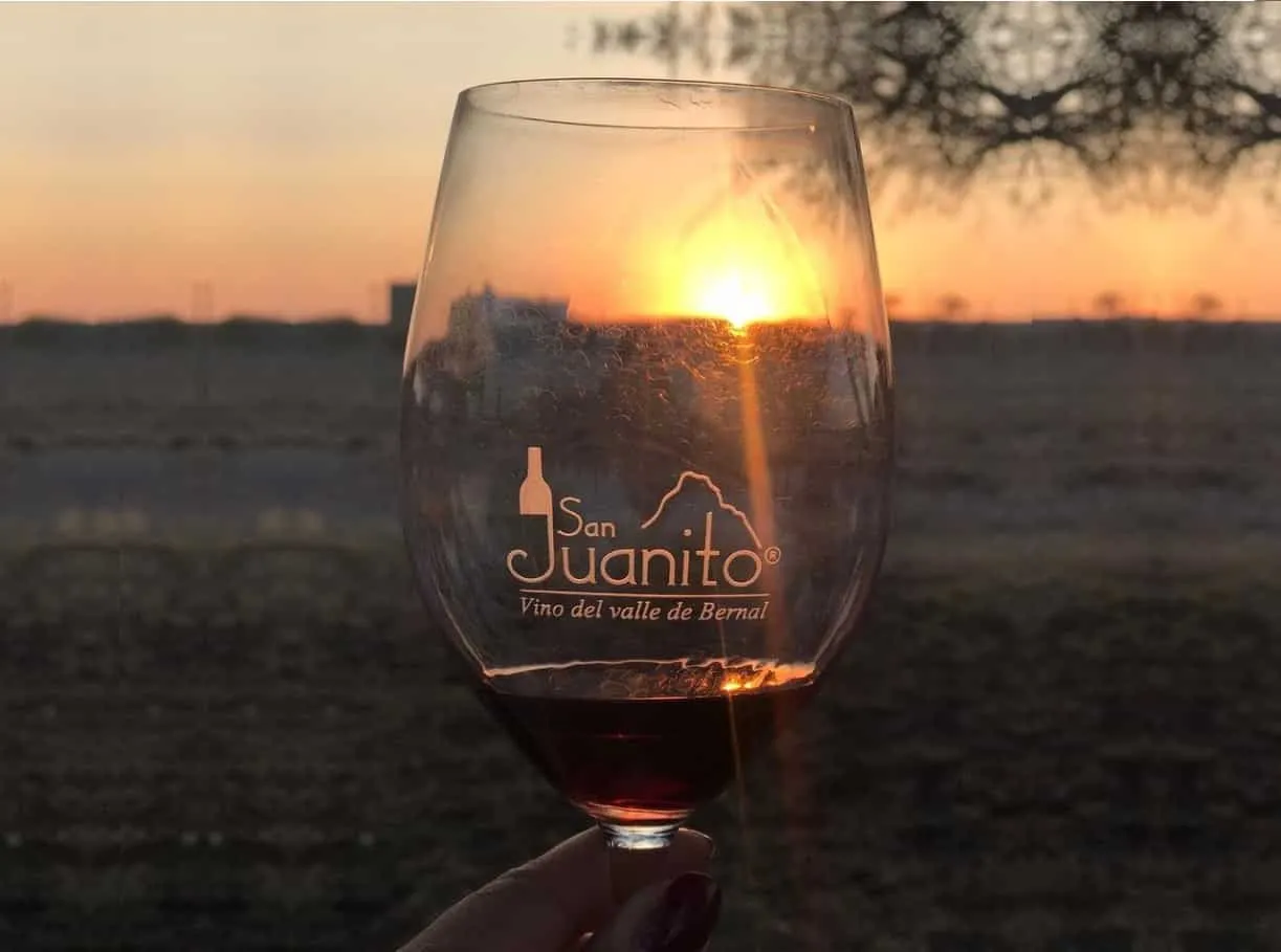 San Juanito, un viñedo que se a hecho de renombre en todo Peña de Bernal