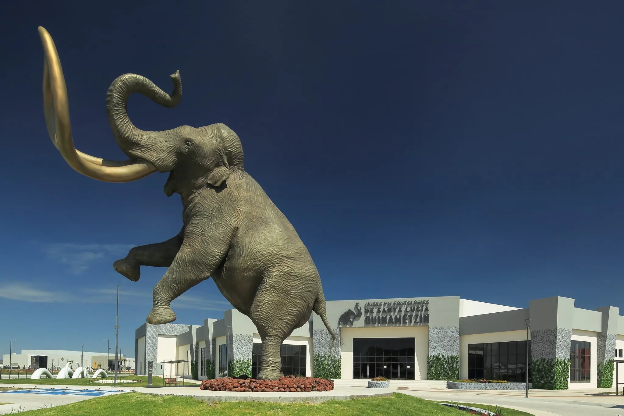 museo del mamut