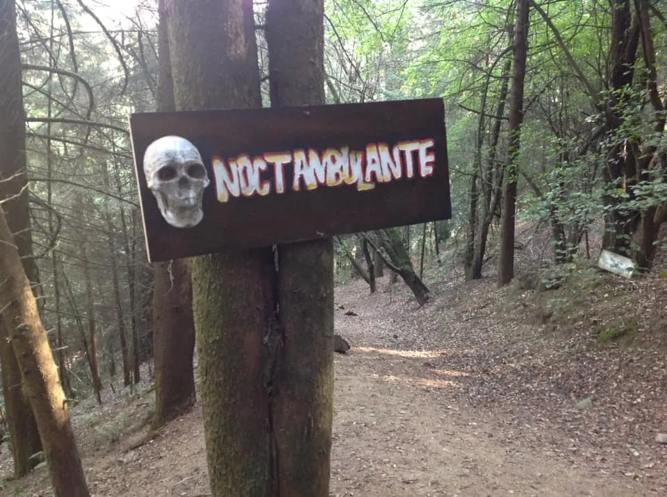 Noctambulante
