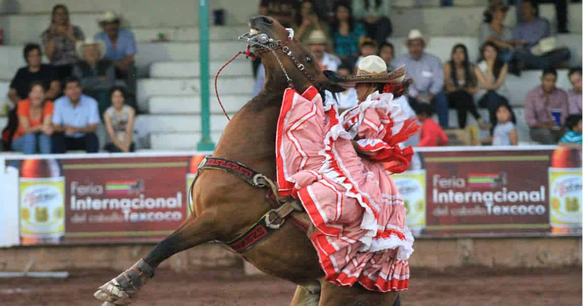 Feria Internacional del Caballo Texcoco 2022, el evento que no puedes perderte