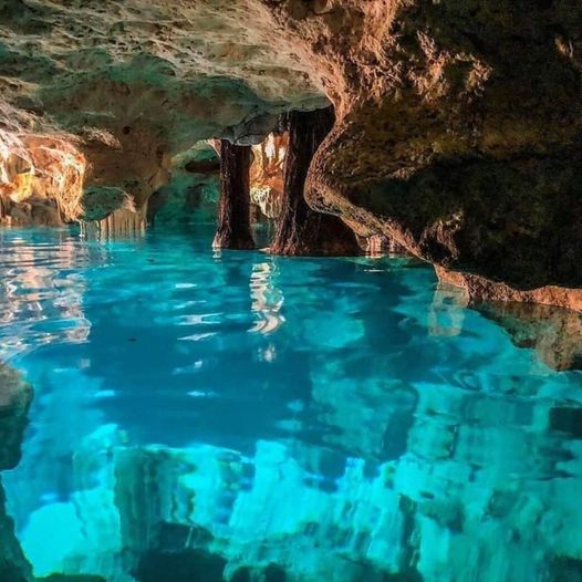 Cenotes, tirolesas y estrellas de mar… disfruta la Riviera Maya sin sargazo