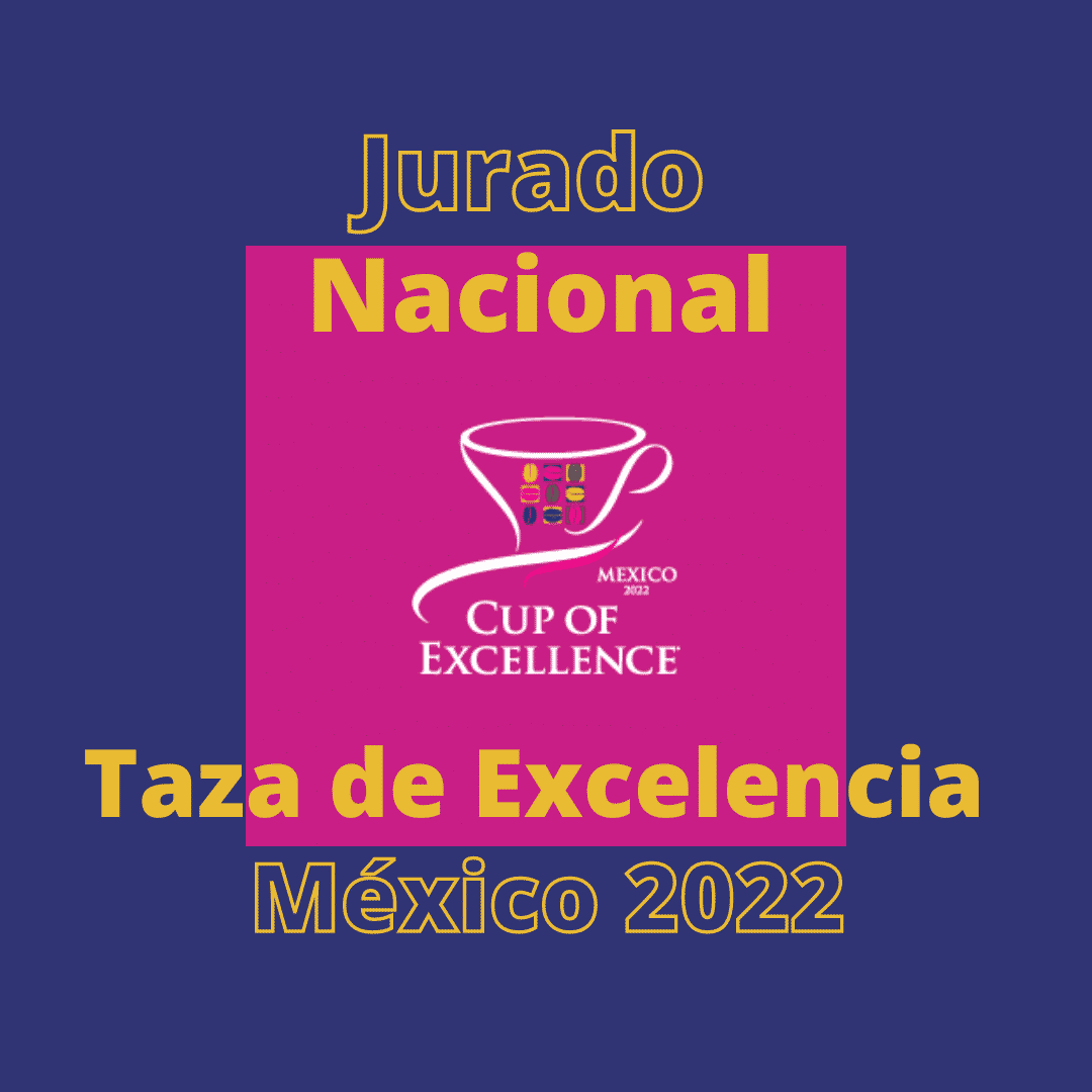 Cup of Excellence México 2022. Imagen: @tazaexcelenciamexico
