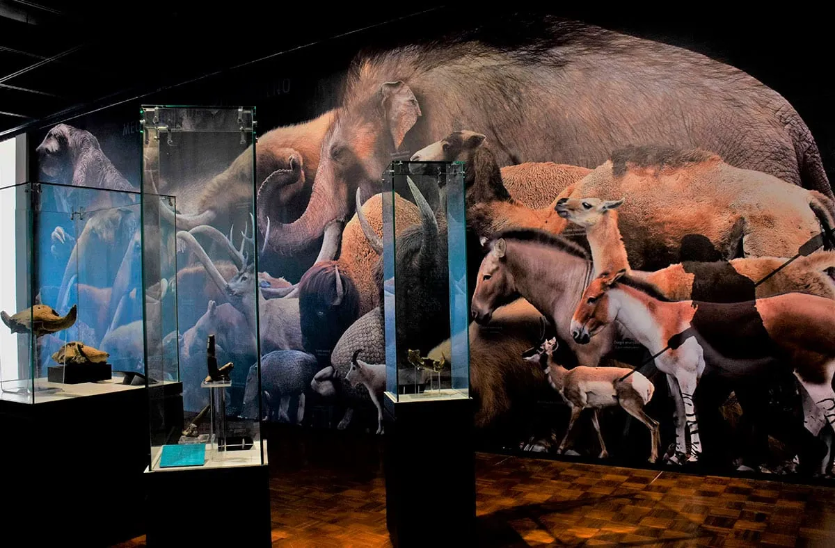  El INAH celebra el Día internacional del Museo en diferentes lugares de la república mexicana