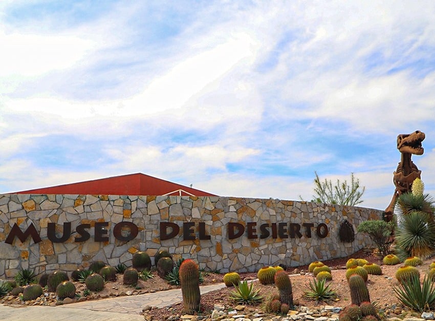 Museo del Desierto, Saltillo.