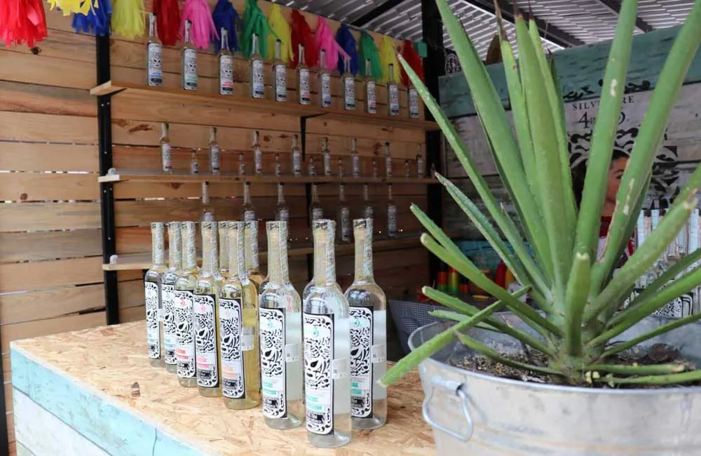 Se aproxima la Feria del Mezcal en Oaxaca