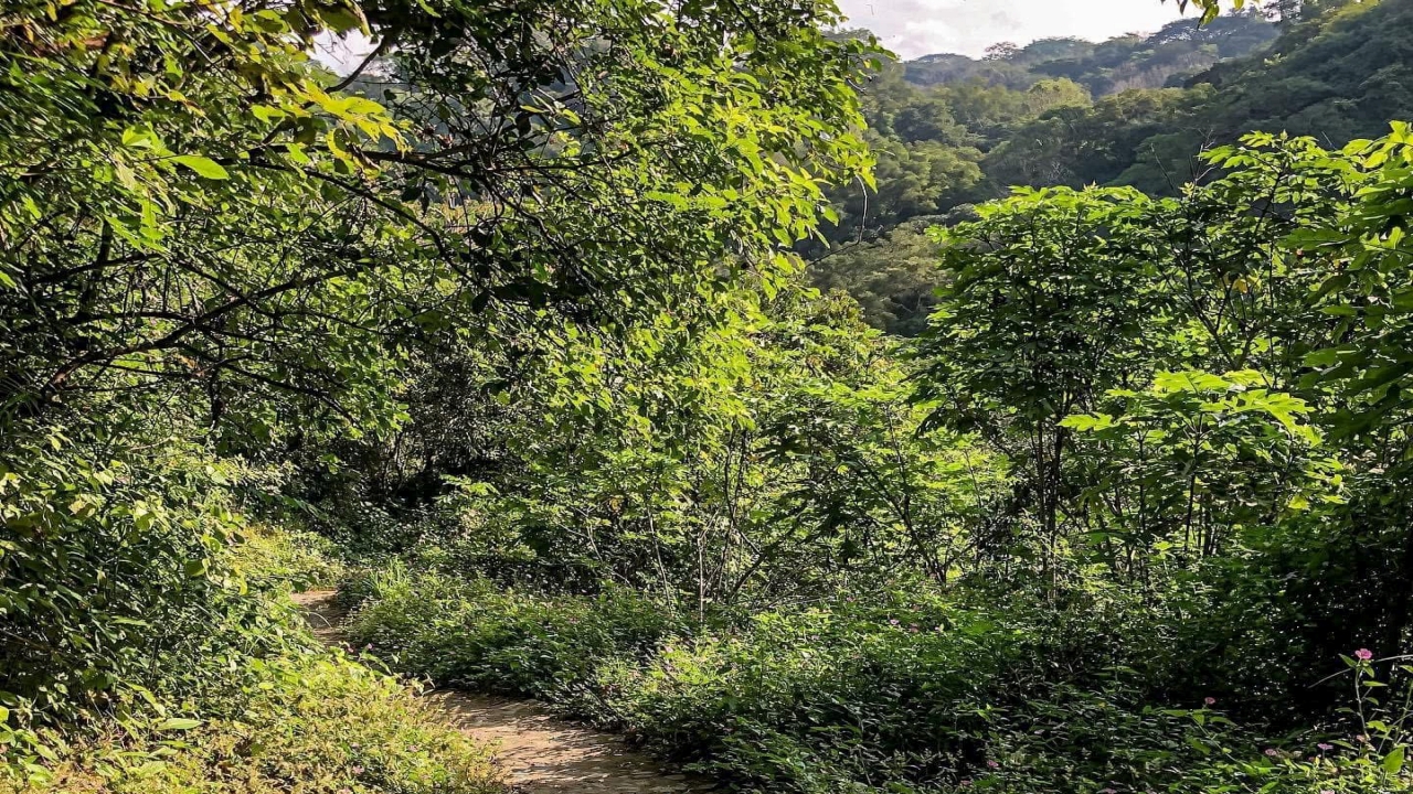 Barranca del río Suchitlán