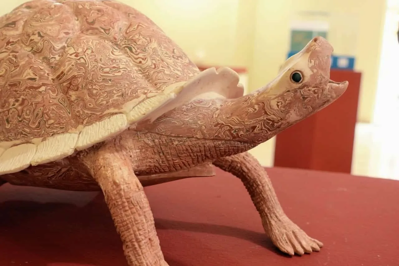 Tortuga de barro