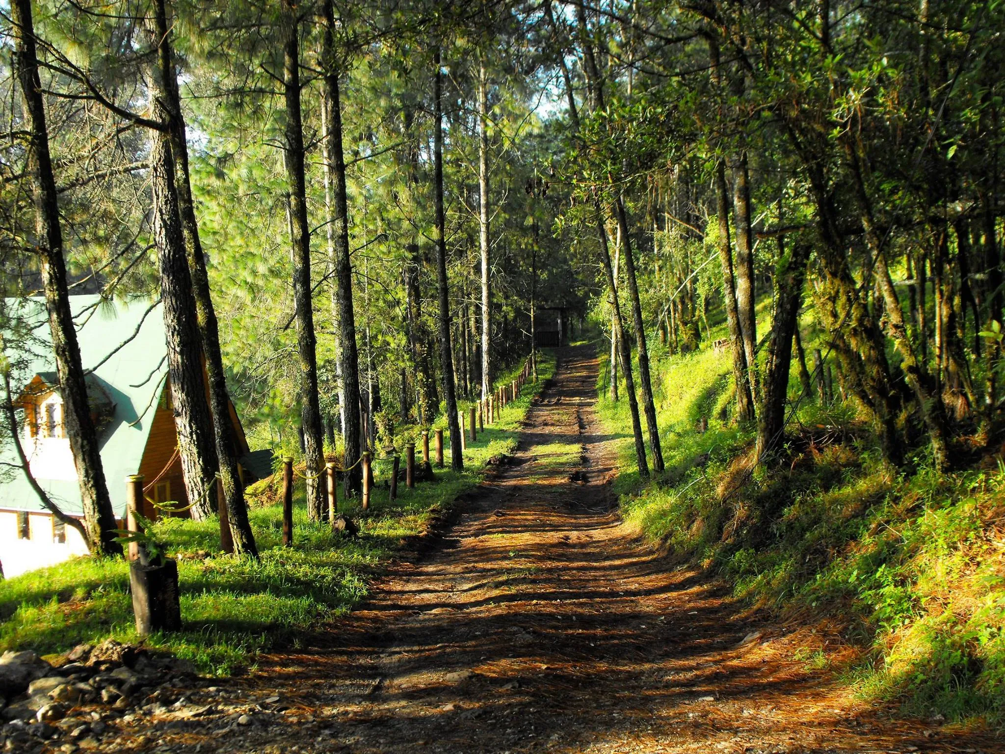 Cabañas Alpinas López Fontes caminos
