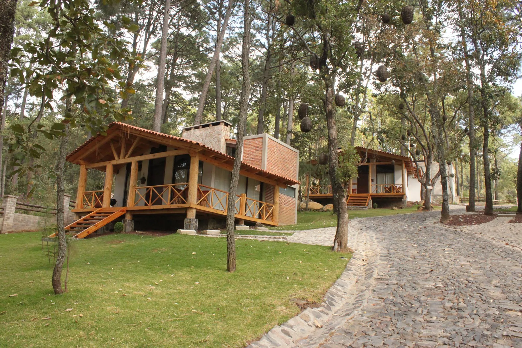 Cabañas La Vid Del Bosque
