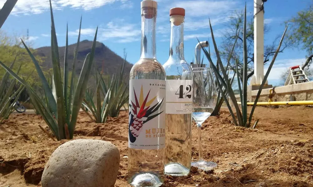 Expo Bacanora en Nogales; aquí te explicamos qué es esta bebida sonorense