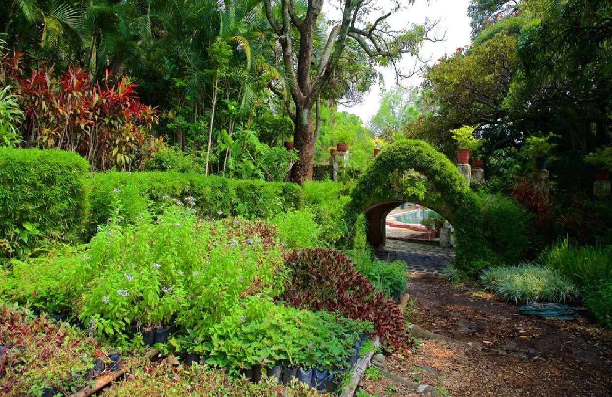 Jardín Borda, un lugar no muy lejos de la CDMX en Cuernavaca
