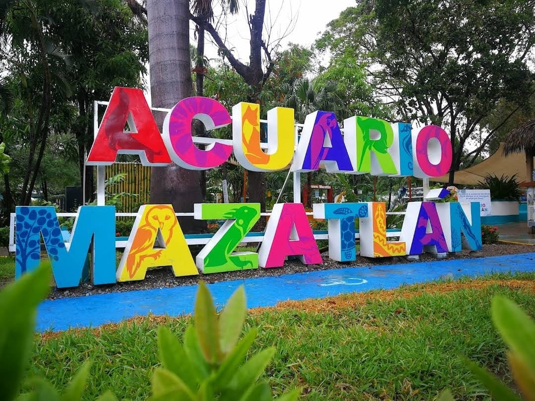 Acuario Mazatlán, un lugar a favor de la vida marina que tienes que conocer