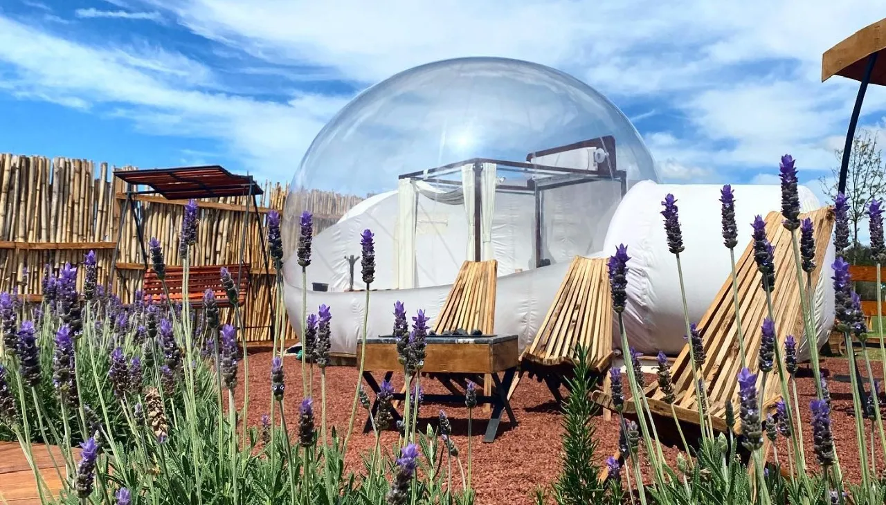 Las Marías Hotel Bubble Glamping