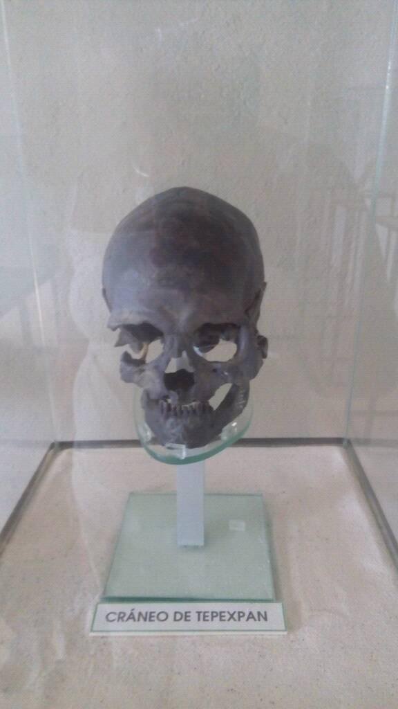 Cráneo de Tepexpan
