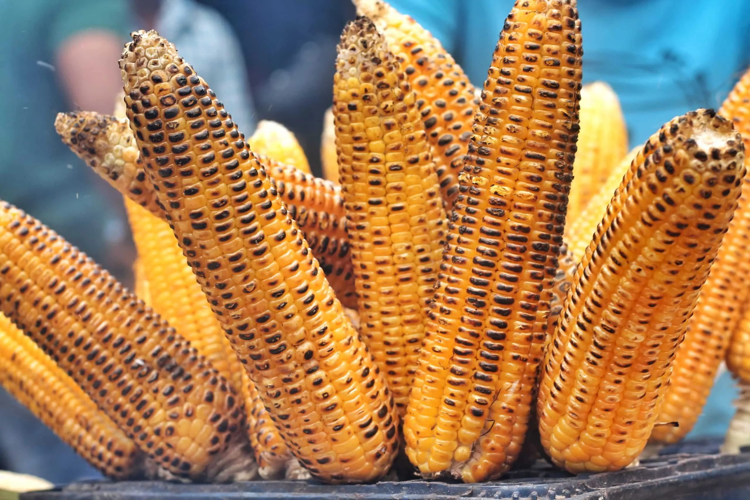 esquites doraditos