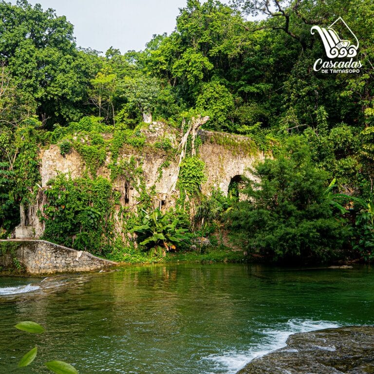 Cascadas De Tamasopo Una Maravilla M s De La Huasteca Potosina