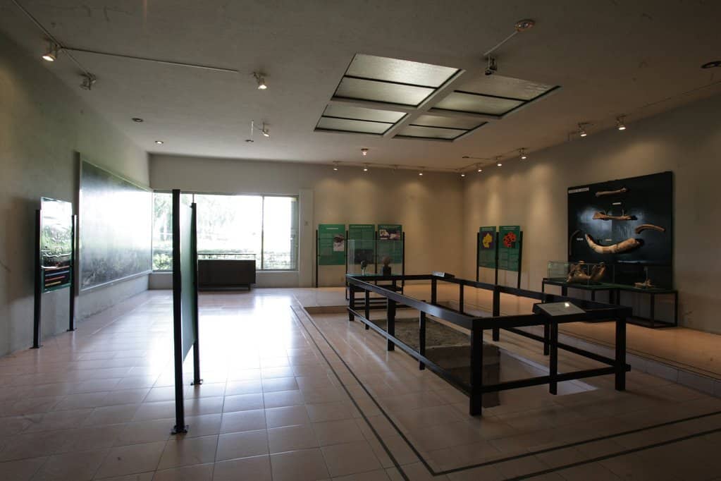 salas museo de tepexpan