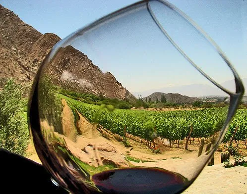 Copa de vino