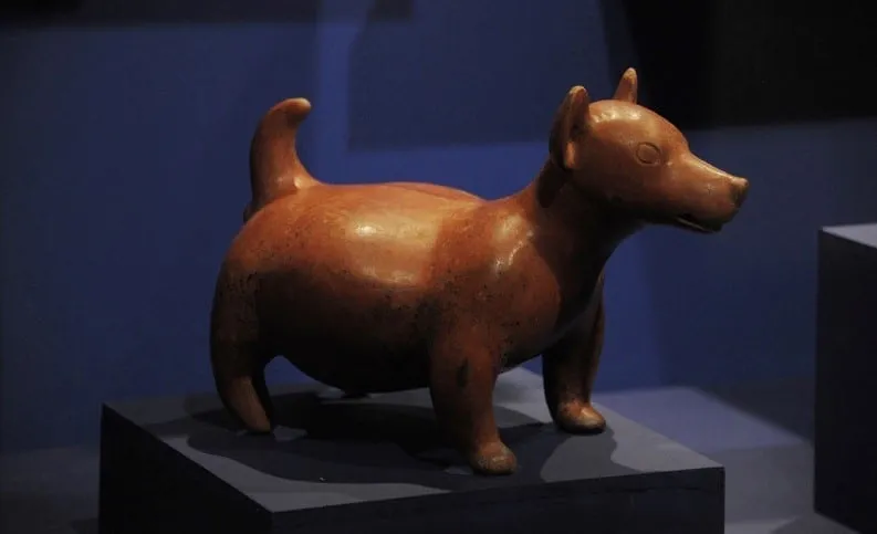 Escultura de xolo