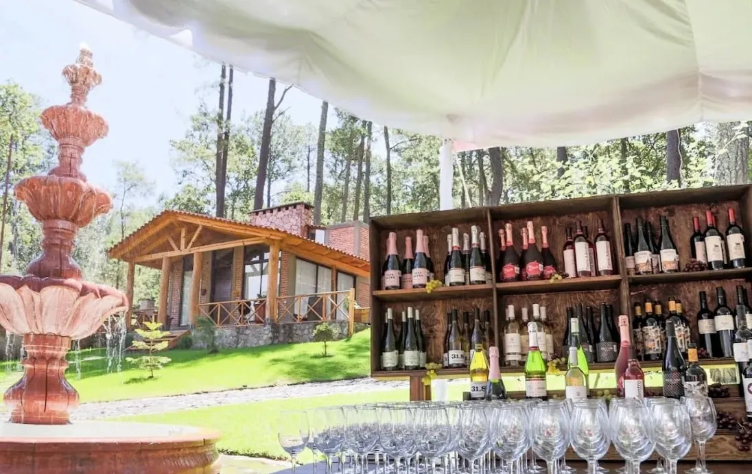 Festival del Vino de Tapalpa, un evento para degustar y disfrutar