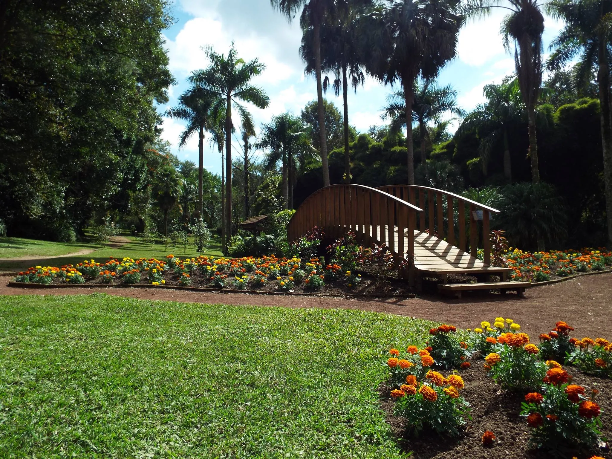 Jardín botánico Francisco Javier Clavijero