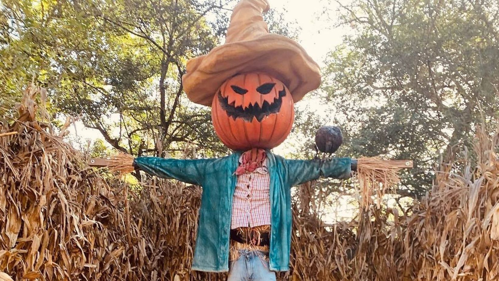 Pumpkin Dash, el festival ideal para dar la bienvenida al otoño