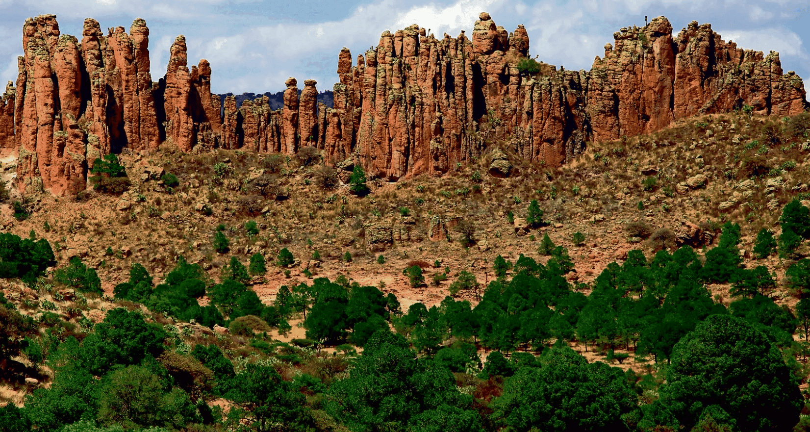 Sierra Órganos Sierra Órganos
