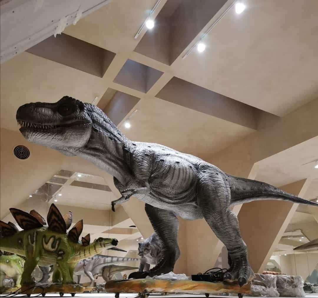 museo del meteorito dinosaurio