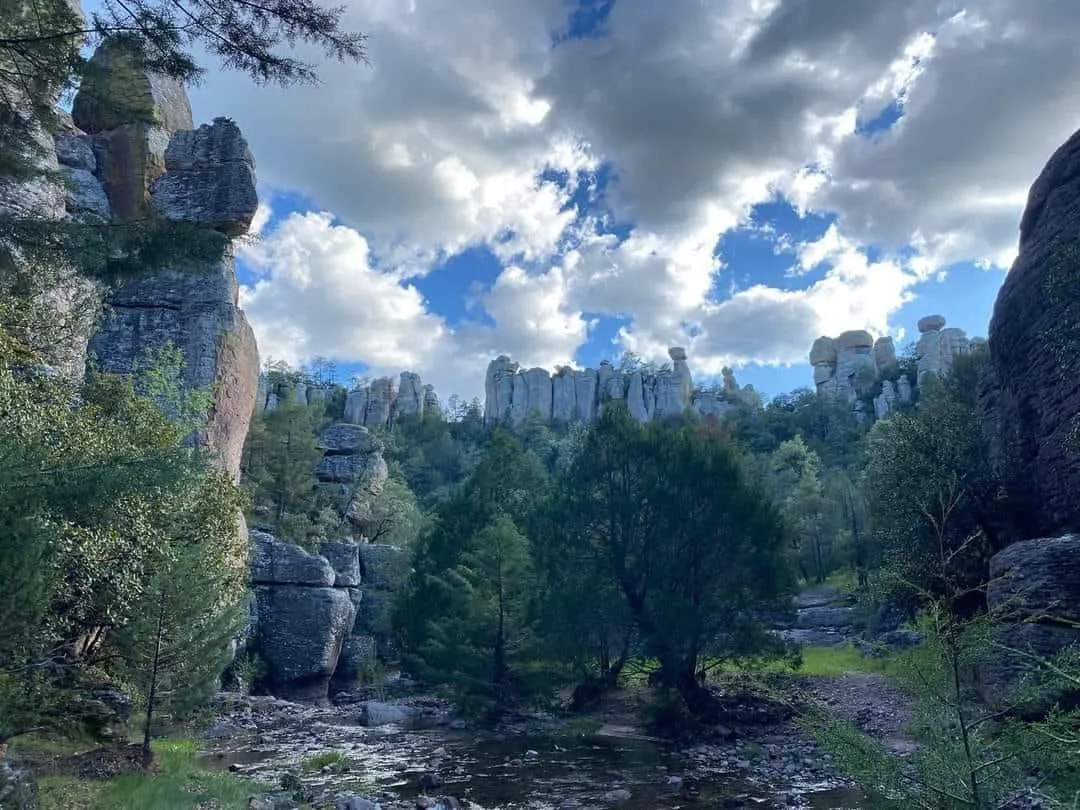parque nacional cumbre de majalca