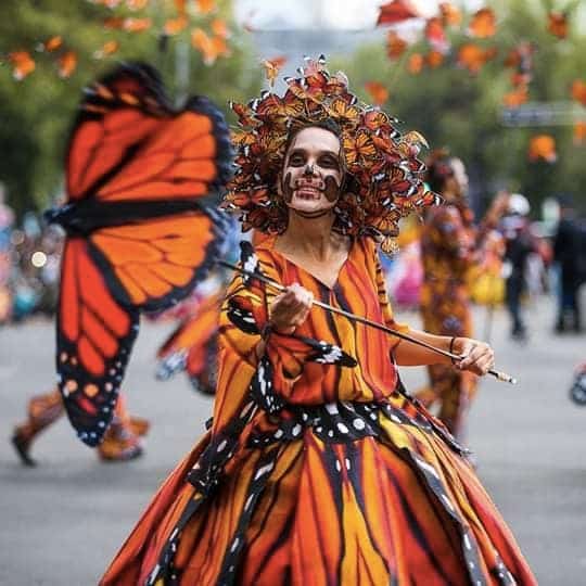 Mariposa Monarca en el Día de Muertos.