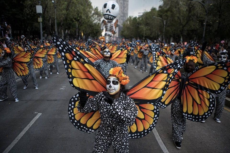 Mariposa Monarca en el Día de Muertos.