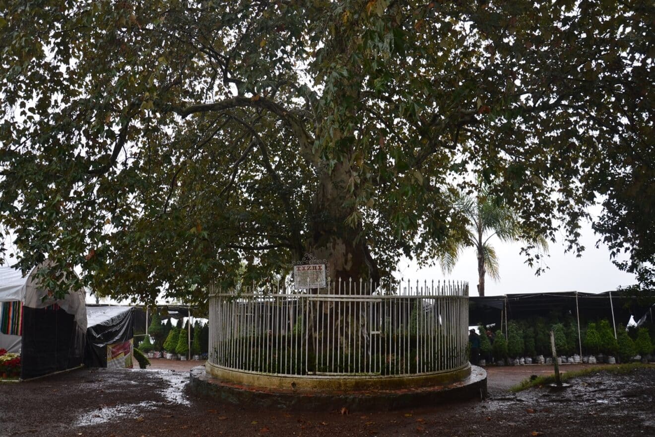 Guía Básica De Huauchinango: Historia, Turismo, Clima Y Más