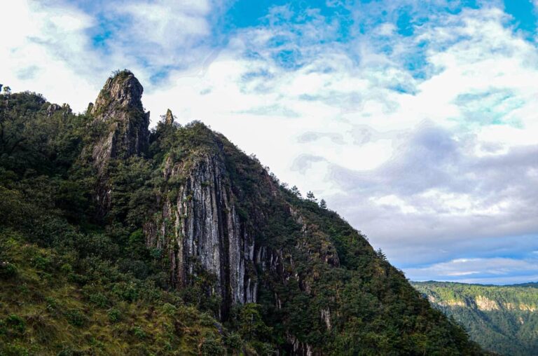 Guía básica de Huauchinango Historia, turismo, clima y más