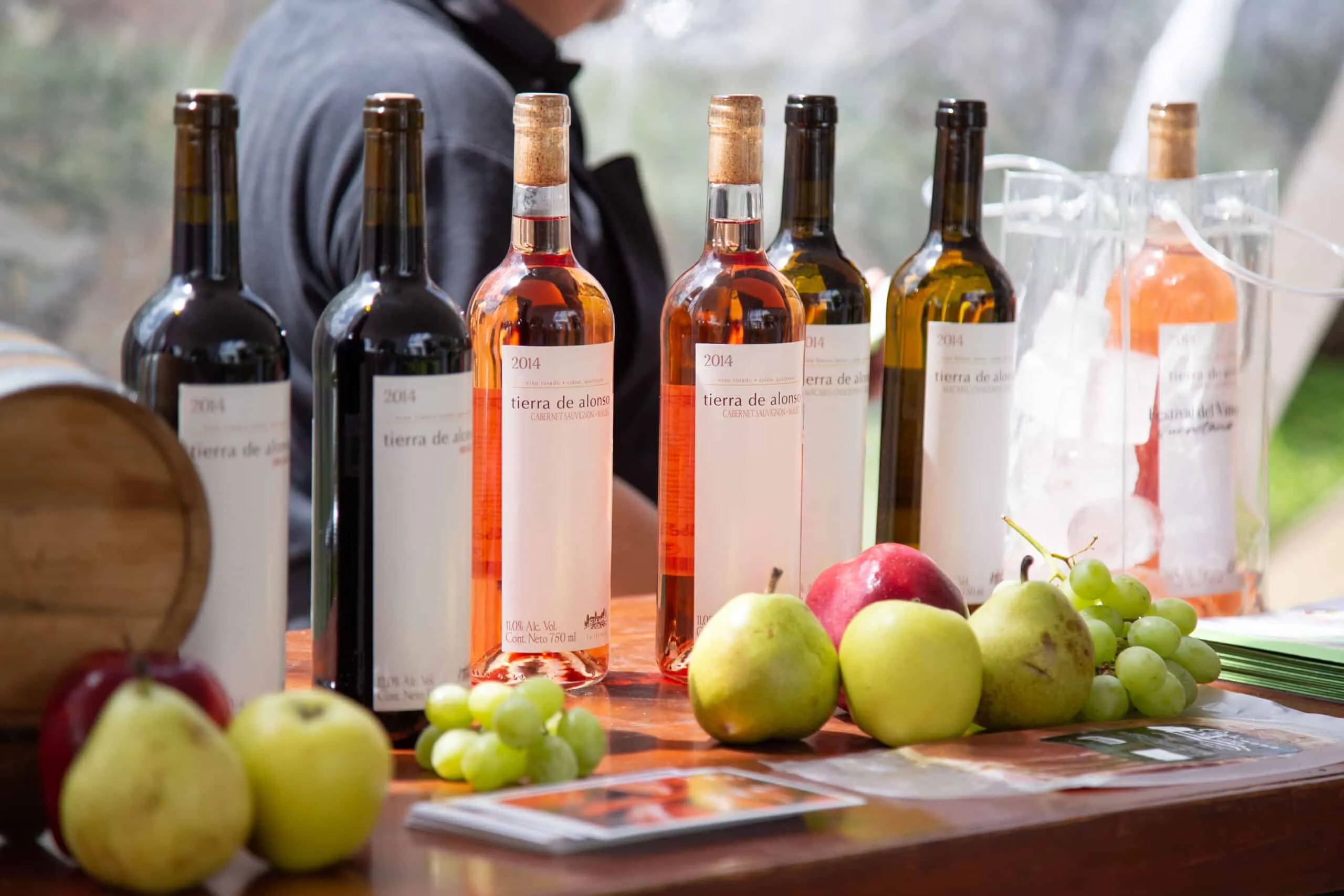 Festival del Vino Querétaro, un evento vinícola que no te puedes perder