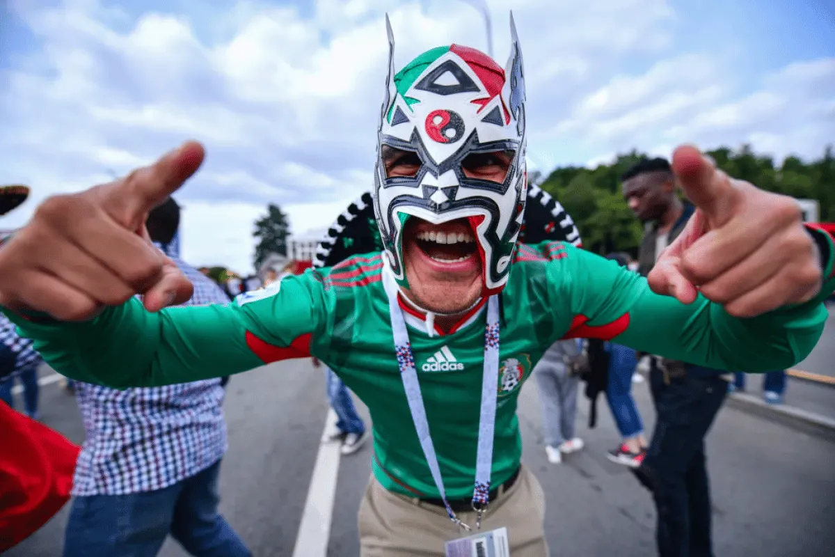 fifa fan.